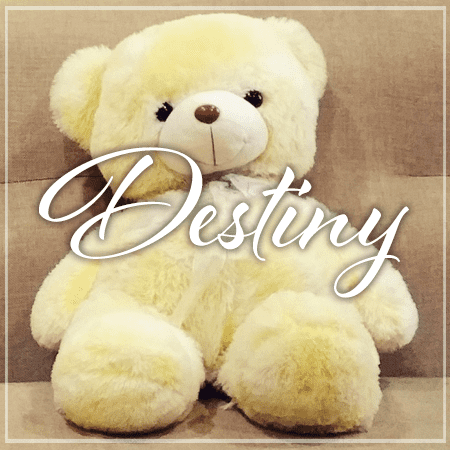 HUMI_Success_Destiny-min HUMI_Success_Destiny-min